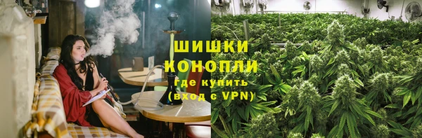 прущие грибы Себеж