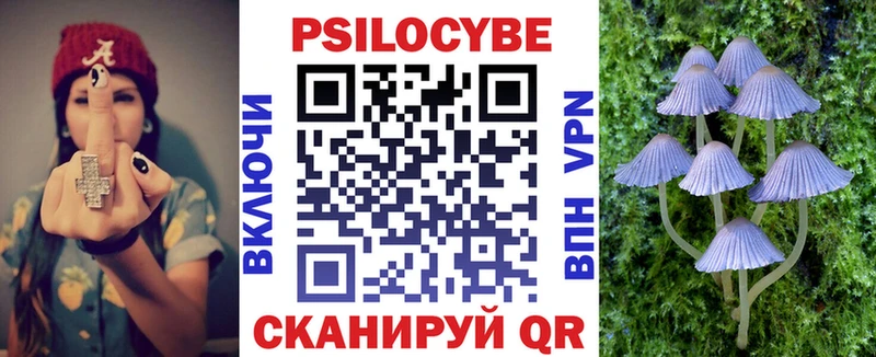 что такое   Юрьев-Польский  Галлюциногенные грибы Psilocybine cubensis 